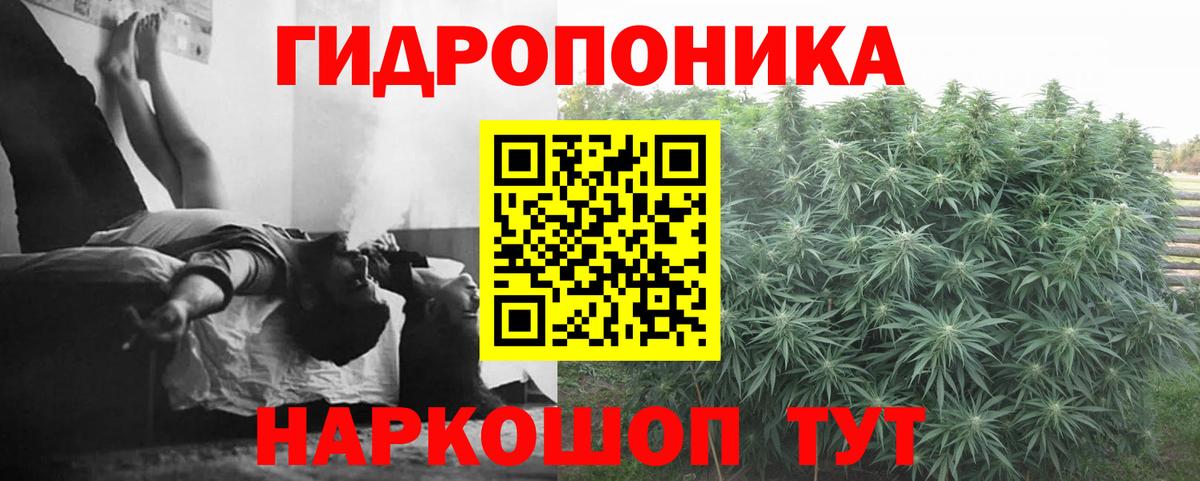Кропоткин  Шишки марихуана OG Kush  Канабис план  Вход с VPN  Марихуана тримм 